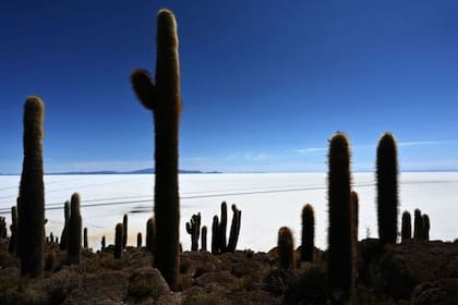 La Argentina es el cuarto productor de litio a nivel mundial, luego de Australia, Chile y China