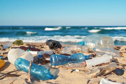 La Argentina es uno de los países que más basura arrojan al mar, según Greenpeace
