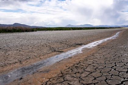 La Argentina expondrá su visión en torno del cambio climático
