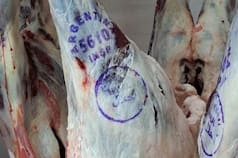 Dinamismo: un producto argentino aumentó un 34% sus exportaciones y ya tiene 44 mercados abiertos