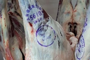 Un producto argentino aumentó un 34% sus exportaciones y ya tiene 44 mercados abiertos