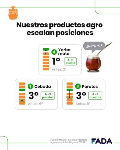 La Argentina pasó del segundo al primer puesto entre los exportadores mundiales de yerba mate
