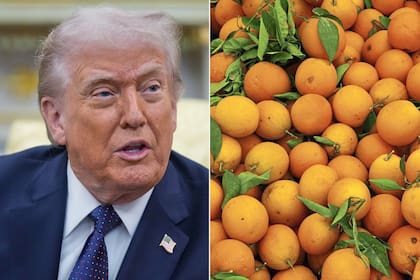 La Argentina podría colocar 20.000 toneladas anuales a Estados Unidos y sumar un destino estratégico