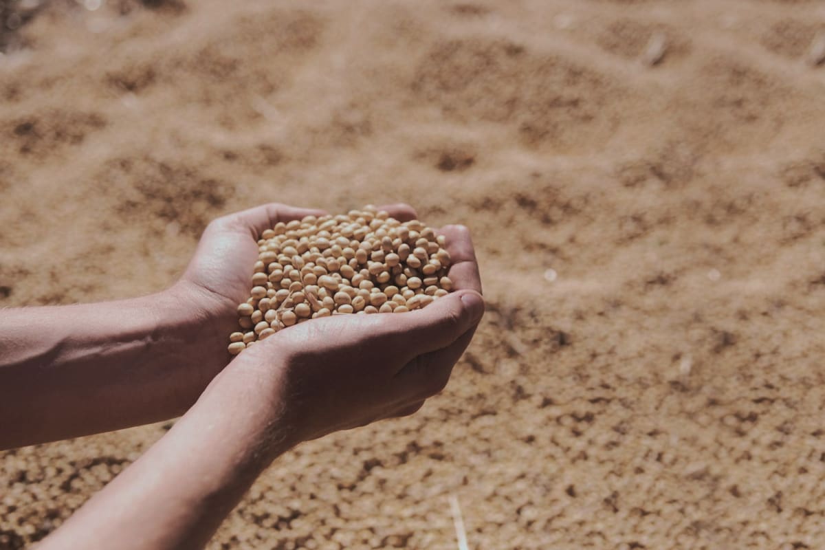 La Argentina tiene capacidad de pago. Hoy los precios de nuestros productos exportables, como la soja, se encuentran en niveles similares a los del último superciclo de las commodities