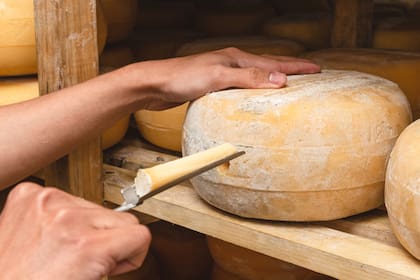 La Argentina tiene una posibilidad de seguir creciendo en la exportación de quesos.