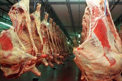 La Argentina vendió casi 500 mil toneladas de carne al exterior en los primeros 10 meses