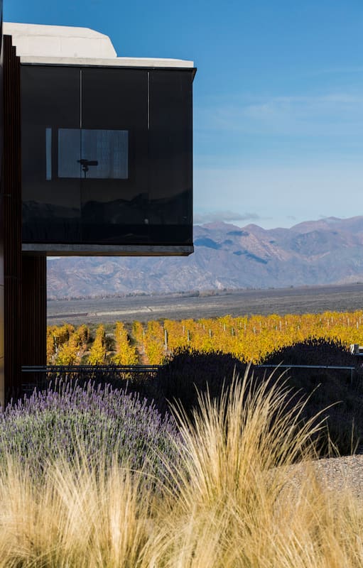 La arquitectura se fusiona con el paisaje semidesértico.