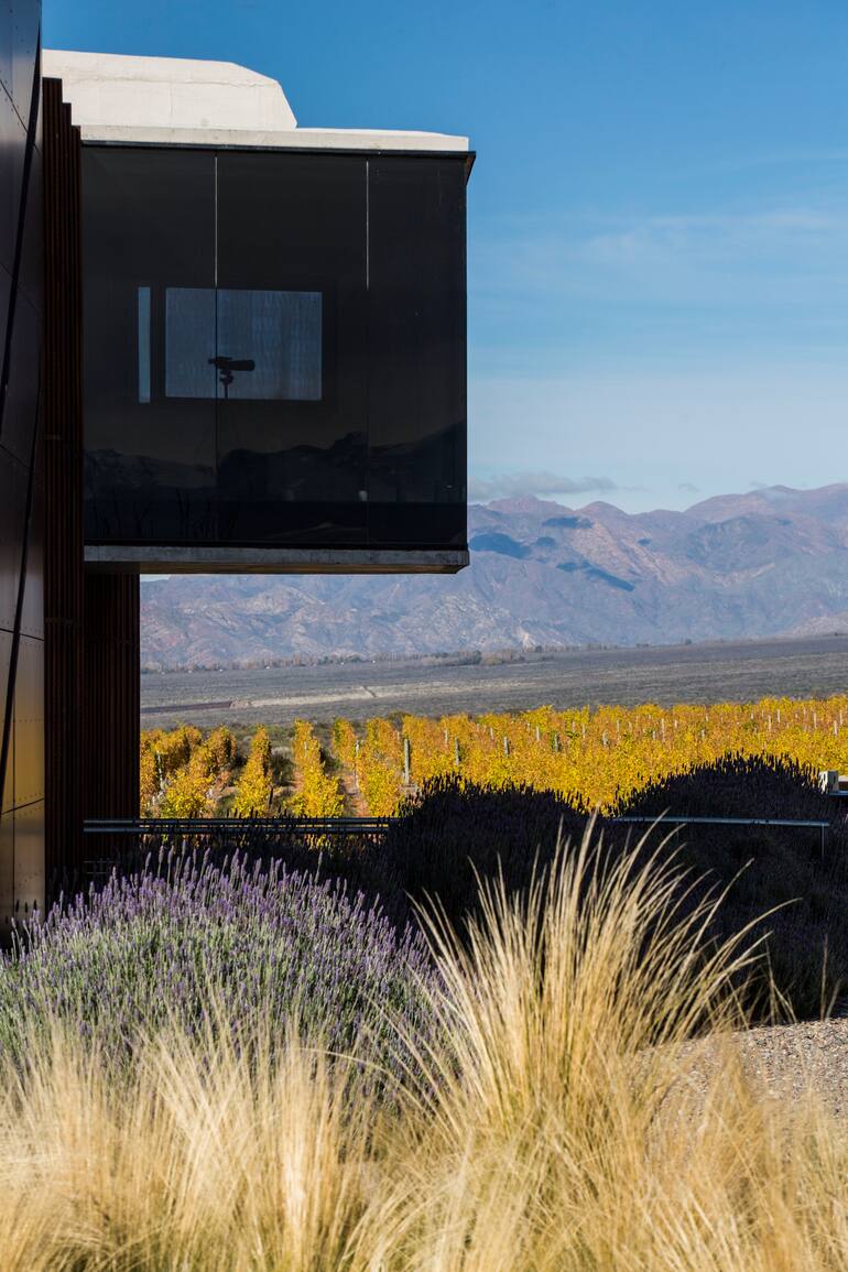 La arquitectura se fusiona con el paisaje semidesértico.