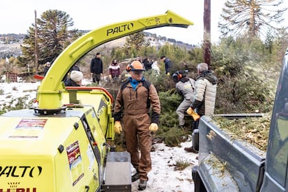 La articulación entre comunidades mapuches, productores y el Estado es clave para combatir y prevenir incendios forestales.
