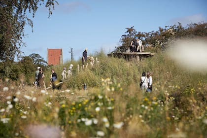 La artista Kerstin Bergendal (en colaboración con el estudio Efterland) creó una intervención artística que incluye estructuras de madera integradas al entorno natural del parque que generan espacios de juego, movimiento y encuentro para niñas, niños y adultos.