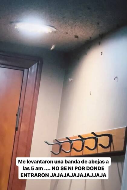 La artista mostró a las abejas en el interior de su cuarto