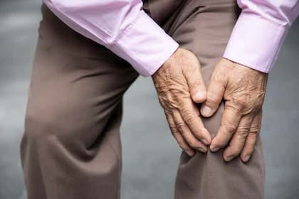 La artrosis es una enfermedad degenerativa que afecta las articulaciones; el consumo de orégano puede ayudar a prevenirla, afirman expertos