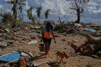 La asistencia alimentaria de Estados Unidos está dirigida a las víctimas del huracán Melissa en Cuba