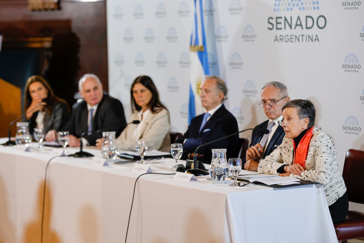 La audiencia en el Salón Azul del Senado de la Nación para rechazar el pliego de Ariel Lijo