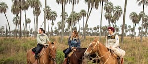 La reserva con palmeras de 300 años, caballos y muy buen restaurante