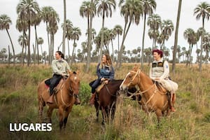 La reserva con palmeras de 300 años, caballos y muy buen restaurante