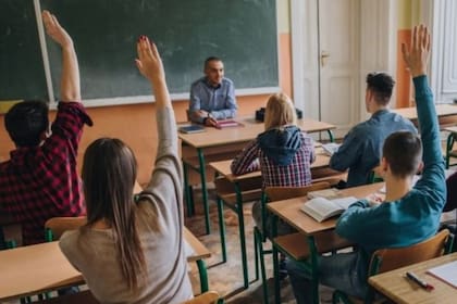 La autoconciencia de la creatividad y la curiosidad termina impactando las aspiraciones futuras de los jóvenes, dice la OCDE