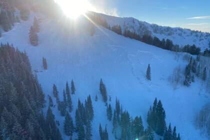 La avalancha enterró a ocho personas cuyas edades oscilan entre los 20 y 35 años años y que formaban dos grupos que recorrían la zona