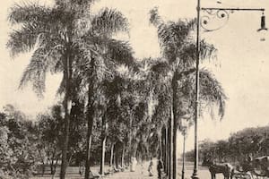 La avenida de las Palmas se llamaba así a instancias de las palmeras que mandó a plantar Domingo Fautsino Sarmiento; hoy, esa arteria de Buenos Aires lleva el nombre del prócer sanjuanino