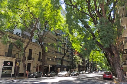 La avenida Pedro Goyena es la más cara y la más verde del barrio de Caballito