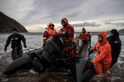Los marinos arriban a la bahía Buen Suceso con víveres