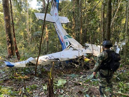 La avioneta Cessna C206 se estrelló en la selva colombiana. Los cuatro niños sobrevivieron al accidente y permanecieron 40 días desaparecidos