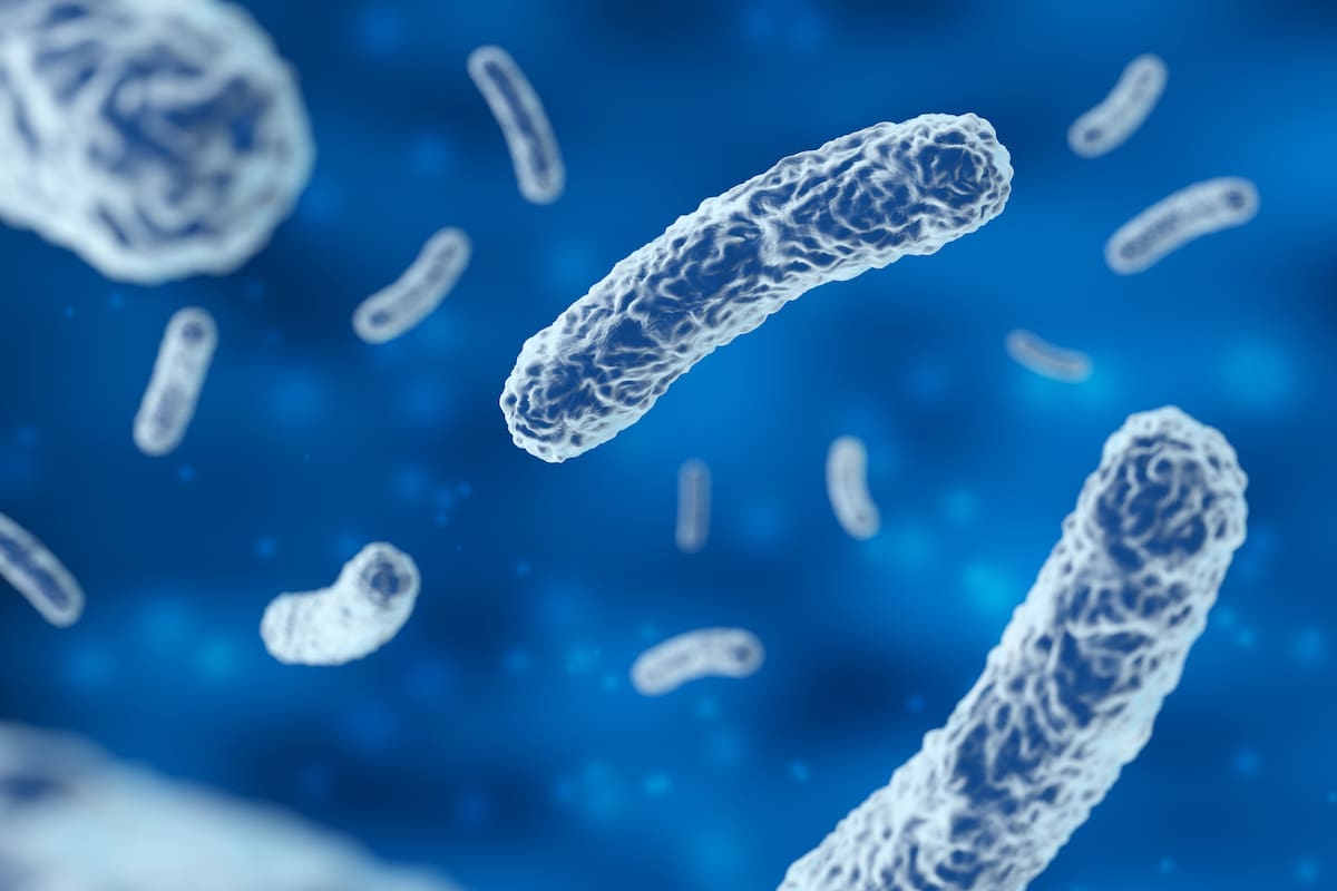 La bacteria Serratia marcescens puede encontrarse en el agua, el suelo y distintos ambientes hospitalarios, donde tiene capacidad para contaminar dispositivos médicos