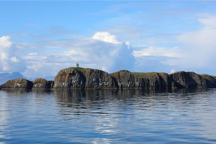 La bahía de Breidafjordur se ubica en la costa oeste de Islandia y es el impensado origen de un producto valuado en miles de euros