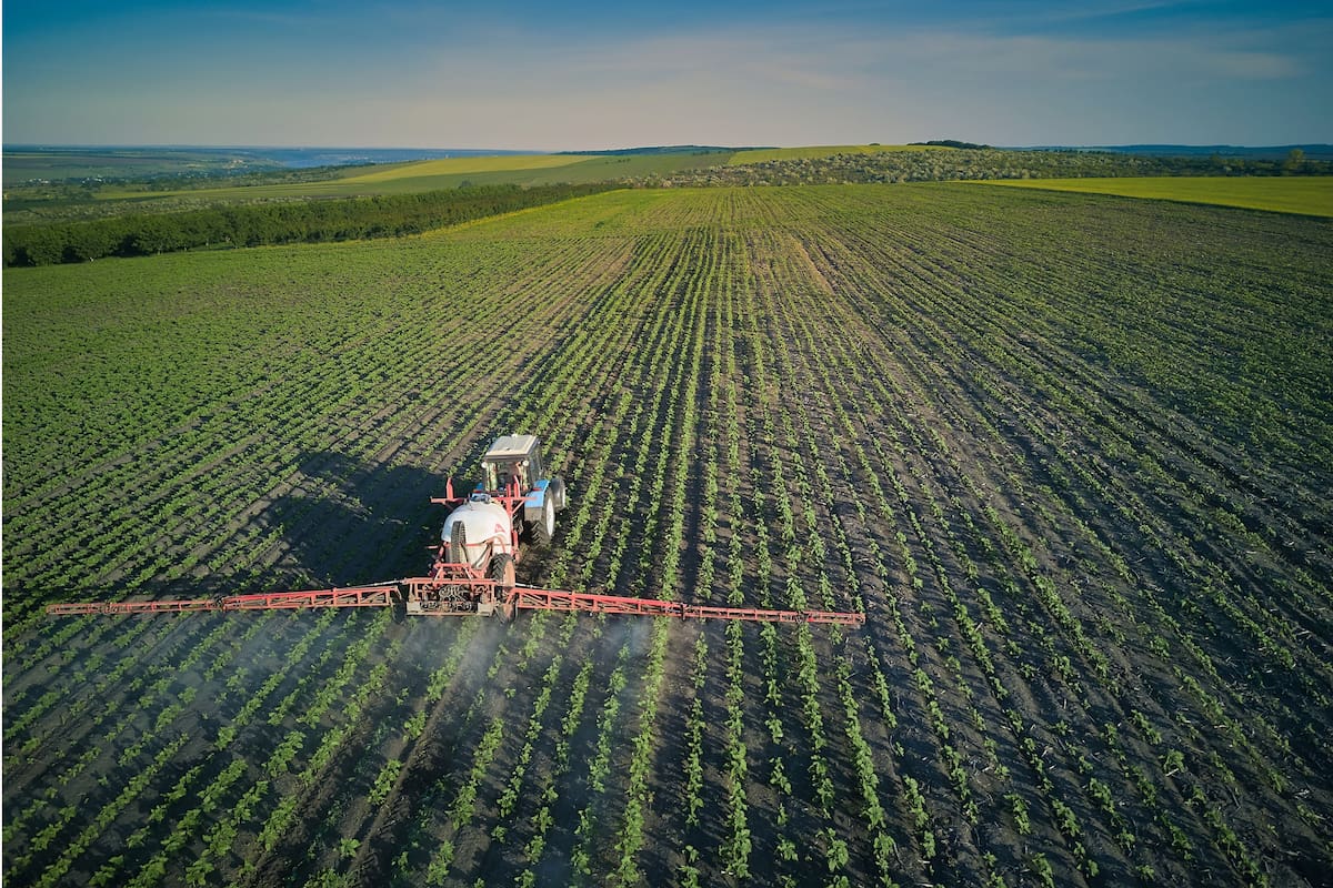 "La baja de la presión impositiva para el sector siempre es positiva, pero el efecto no va a ser inmediato”, dijo Diego Napolitano, presidente de Cedasaba