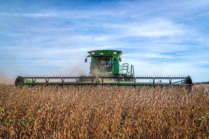 La baja en los precios va de 3% a un 7%, según el producto