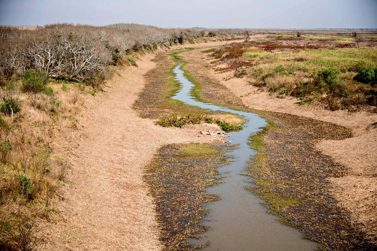 La bajante del Paraná se ve claramente en la zona de humedales entre Rosario y Victoria