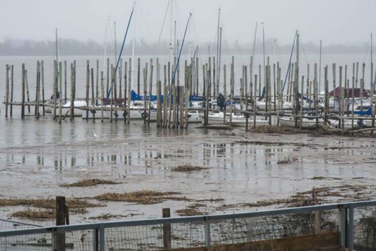 La bajante es la más grave desde 2008