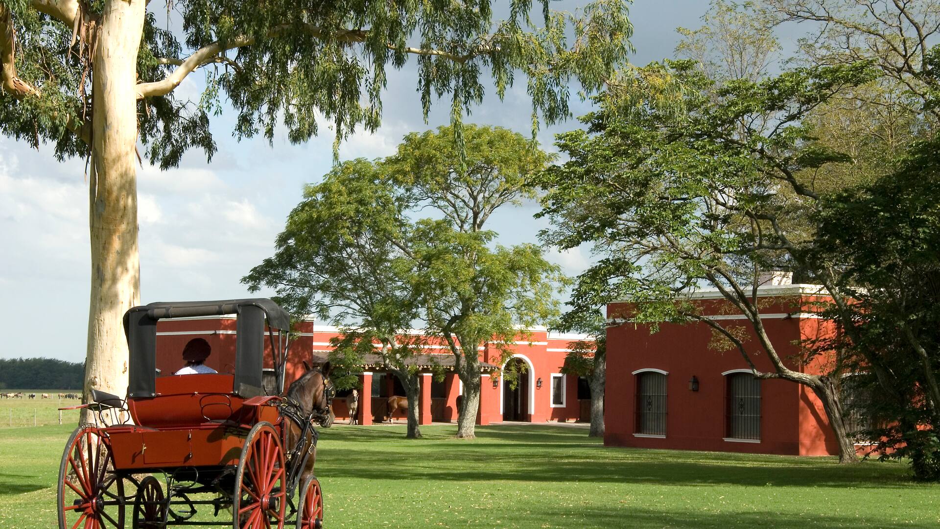 El tradicional bodegón De Bessonart, un punto de encuentro desde hace más de 200 años.