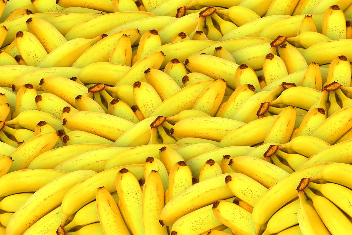 La banana aumentó casi un 56% en dos meses (Foto ilustrativa: PIXABAY)