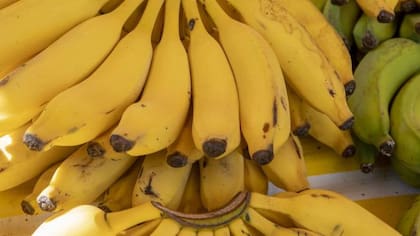 La banana es un alimento noble compuesto por altos niveles de hidratos de carbono, aunque su diferencial es que casi no contiene grasas ni proteínas