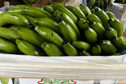 La banana que produce Fernando Ortiz en Salta
