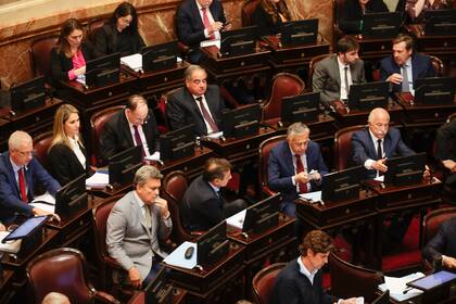La bancada opositora en la sesión del Senado