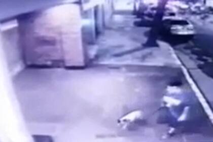 La banda de paseadores de perros