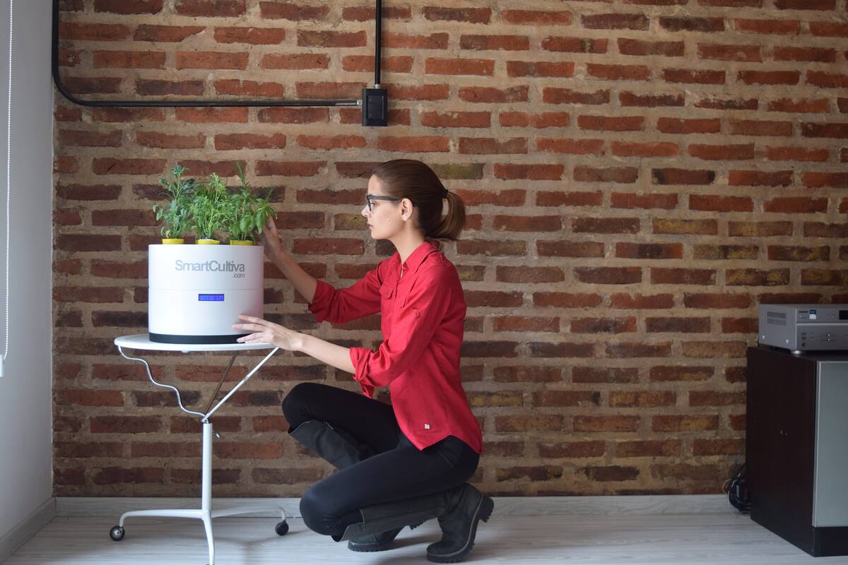 La bandeja inteligente que monitorea las plantas y manda alertas al celular