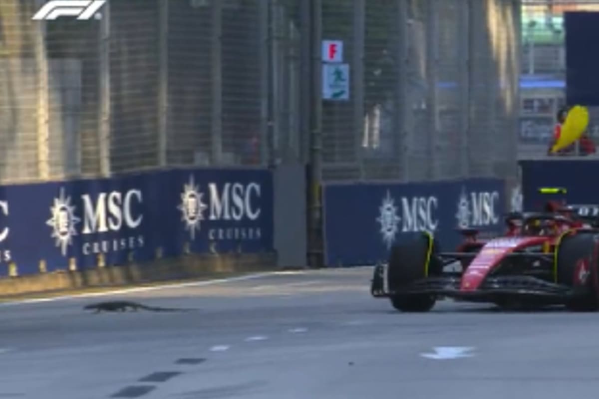 La bandera amarilla flameó en algunos momentos de los entrenamientos del viernes por la presencia de lagartijas en la pista; los autos de Fórmula 1 debieron esquivarlas.