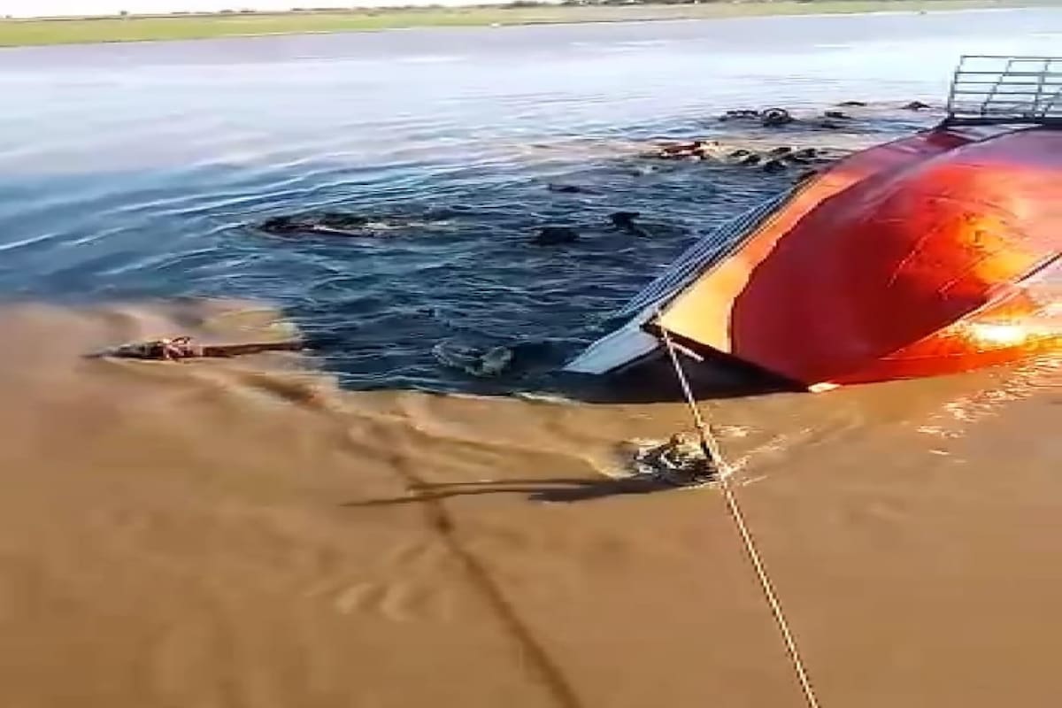 La barcaza con ganado que se dio vuelta