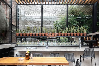 La barra exterior de hormigón se mimetiza con la vegetación. Una línea de macetas de terracota con sansevierias actúa de fondo.
