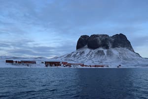 La Base Carlini se encuentra en la península Potter de la isla 25 de Mayo (o Rey Jorge) perteneciente al archipiélago de las Shetland del Sur.