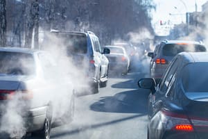 La basura de los archivos inútiles almacenados en la nube supone 600 toneladas de C0₂ y eliminarlos o recuperarlos tendría un impacto equivalente al de plantar 10.000 árboles