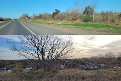 La basura y los pastos crecidos se pueden observar desde la ruta y las calles que transitan los vecinos día a día en Roldán