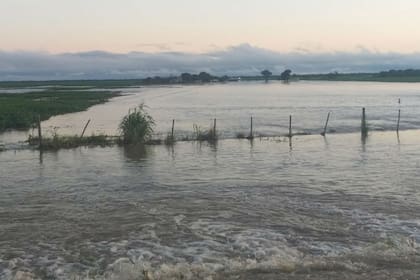 La BCR alertó por pérdidas productivas