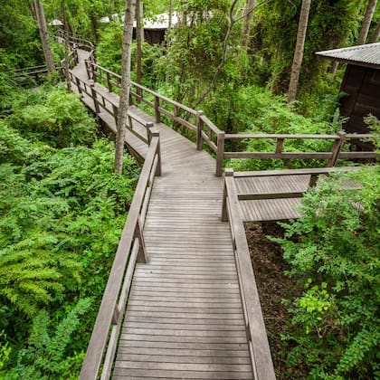 La Becasina cuenta con 15 bungalows o suites, todas individuales, rodeadas de agua y escondidas entre la inmensa vegetación que rodea el lugar