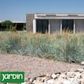 Qué son los jardines secos y por qué son tendencia en paisajismo