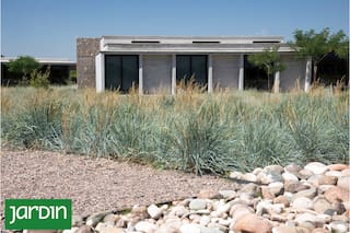 Qué son los jardines secos y por qué son tendencia en paisajismo