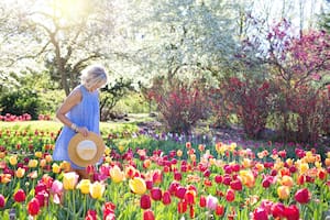 La belleza es más importante para nosotros de lo que solemos creer (Foto ilustrativa: PEXELS)